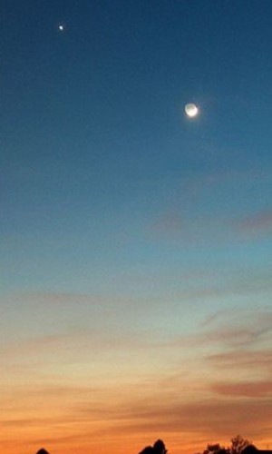 Image result for lucero del alba