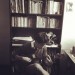Escritor: José Alí Mejías Muñóz | VE | Desde Jun/2016 Escritor: José Alí Mejías Muñóz | VE | Desde Jun/2016
