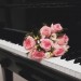 Escritor: Serenade | CR | Desde Jul/2016 Escritor: Serenade | CR | Desde Jul/2016