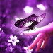 Autor: AIRAM LEÉ | MX | Desde Ago/2016 Autor: AIRAM LEÉ | MX | Desde Ago/2016