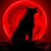 Autor: Sangre de LUNA | ES | Desde Mar/2017 Autor: Sangre de LUNA | ES | Desde Mar/2017