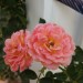 Autor: Flordeluz | CL | Desde Oct/2017 Autor: Flordeluz | CL | Desde Oct/2017