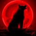 Escritor: Sangre de luna | ES | Desde Jun/2018 Escritor: Sangre de luna | ES | Desde Jun/2018