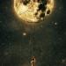 Autor: Elizg | VE | Desde Dic/2018 Autor: Elizg | VE | Desde Dic/2018
