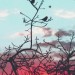 Escritor: Fallen Queen | MX | Desde Ene/2020 Escritor: Fallen Queen | MX | Desde Ene/2020