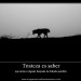 Autor: el poeta triste | NI | Desde Mayo/2014 Autor: el poeta triste | NI | Desde Mayo/2014