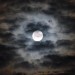 Poeta: Rayo de luna | MX | Desde Jul/2014 Poeta: Rayo de luna | MX | Desde Jul/2014