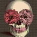 Escritor: La chica que respira, pero no vive. | AR | Desde Jul/2014 Escritor: La chica que respira, pero no vive. | AR | Desde Jul/2014