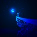 Autor: LA CHICA DE TUS LUNAS | MX | Desde Ago/2014 Autor: LA CHICA DE TUS LUNAS | MX | Desde Ago/2014