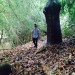 Autor: Un escritor mas. | CO | Desde Ene/2016 Autor: Un escritor mas. | CO | Desde Ene/2016