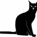 Escritor: Gato Pardo | CL | Desde Feb/2016 Escritor: Gato Pardo | CL | Desde Feb/2016